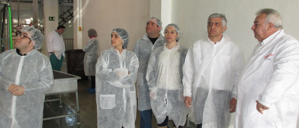 <strong>Visita de Jos&eacute; Luis G&oacute;mez al Matadero Municipal en el Pol&iacute;gono de Los Llanos</strong>
