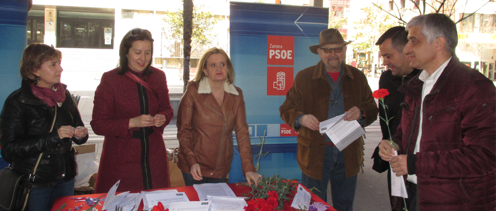 <strong>El PSOE reparte claveles rojos para conmemorar el D&iacute;a Internacional de la Mujer el 8 de Marzo</strong>