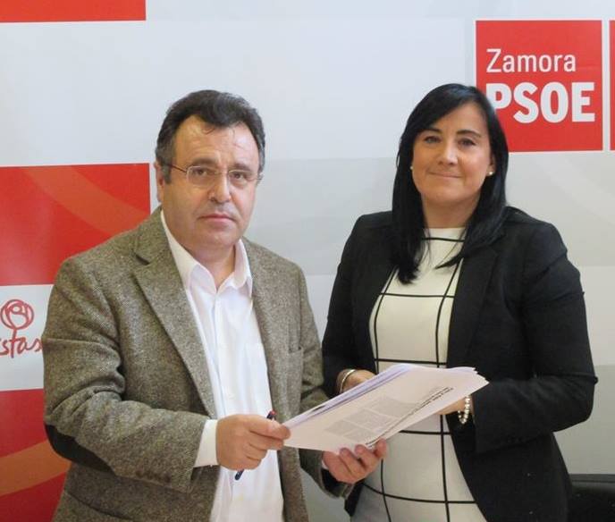 <strong>La se&ntilde;alizaci&oacute;n de Moreruela y Castrotorafe en el Pleno de las Cortes de Castilla y Le&oacute;n&nbsp;</strong>