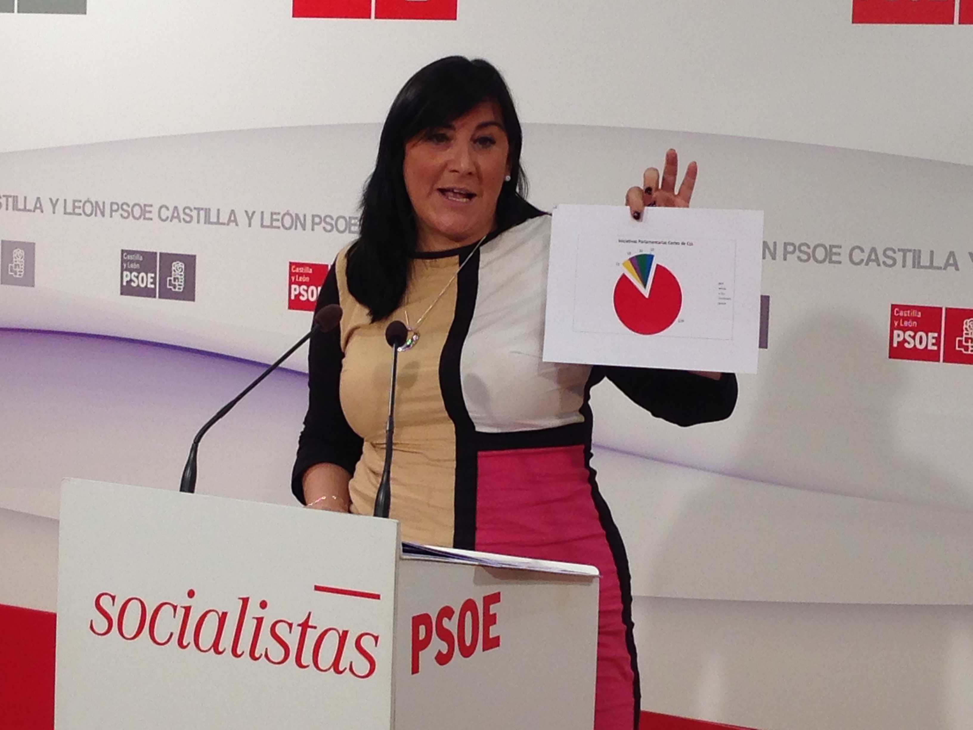 <strong>Ana S&aacute;nchez acusa a la Junta de poner de rodillas ante Rajoy a 20.000 opositores de Enfermer&iacute;a</strong>