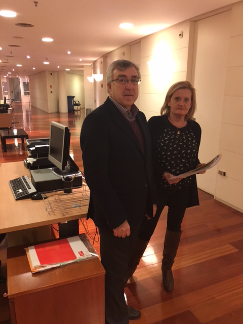 <div><strong>La Diputada socialista por Zamora Mar Rominguera Portavoz de la Comisi&oacute;n de Vivienda en el Congreso&nbsp;</strong></div>