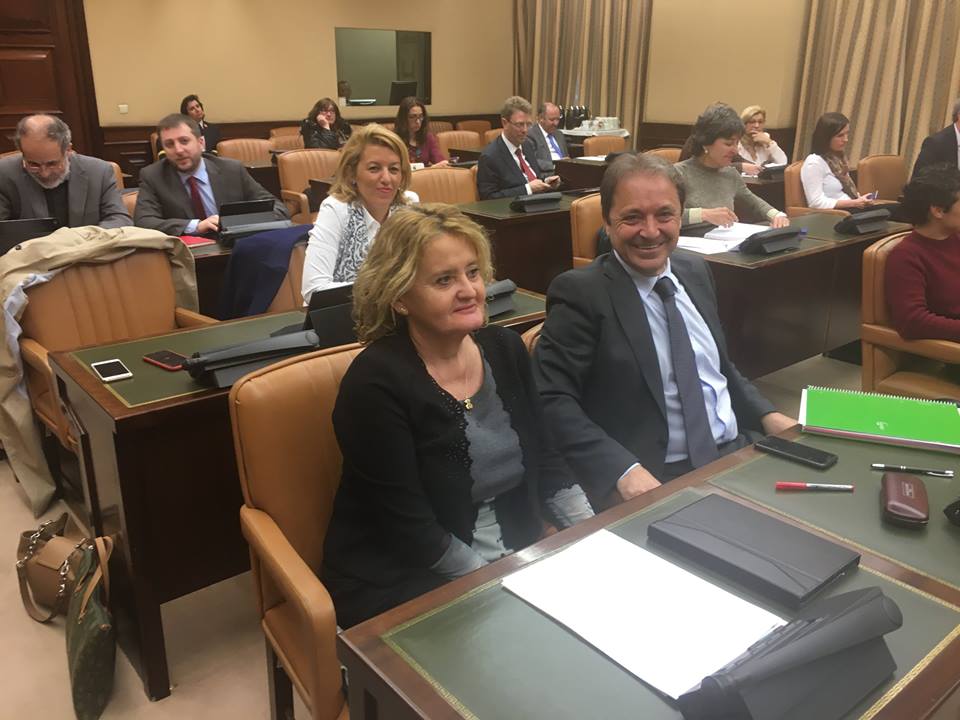 <div><strong>Mar Rominguera: &ldquo;La negativa de la Ministra Pastor a comparecer en el Congreso de los Diputados es una burla a los ciudadanos y a la Democracia&rdquo;</strong></div>