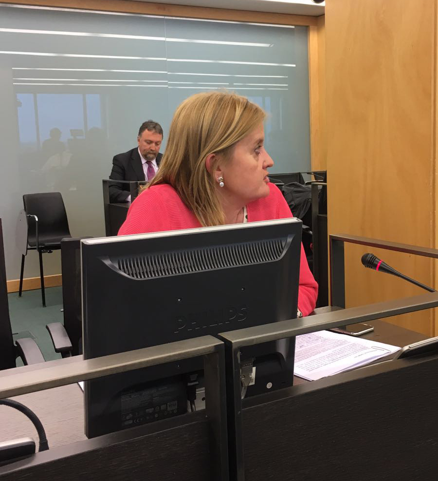 <div><strong>La Diputada del PSOE Mar Rominguera propone en el Congreso que se flexibilicen los horarios del AVE para fomentar el Turismo en Zamora</strong></div>