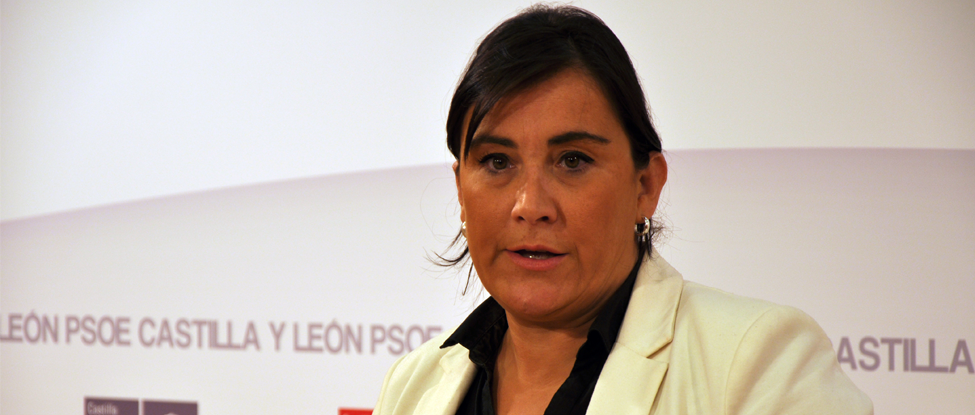 <strong>Ana S&aacute;nchez: &ldquo;Se ha demostrado que Rajoy es perjudicial para Castilla y Le&oacute;n&rdquo;</strong>