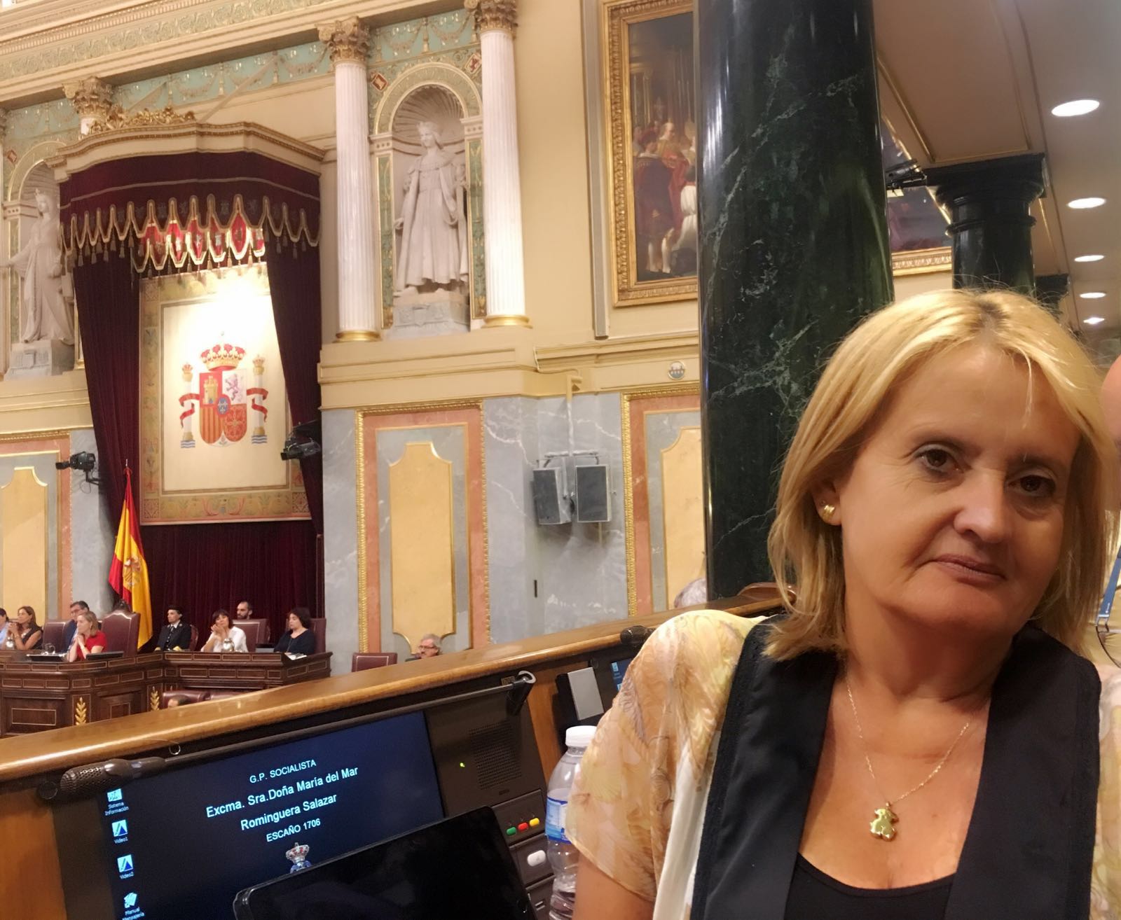 <div><strong>Mar Rominguera: &ldquo;Es necesario poner fin a las pol&iacute;ticas del PP y de Rajoy contra las personas&rdquo;&nbsp;</strong></div>
