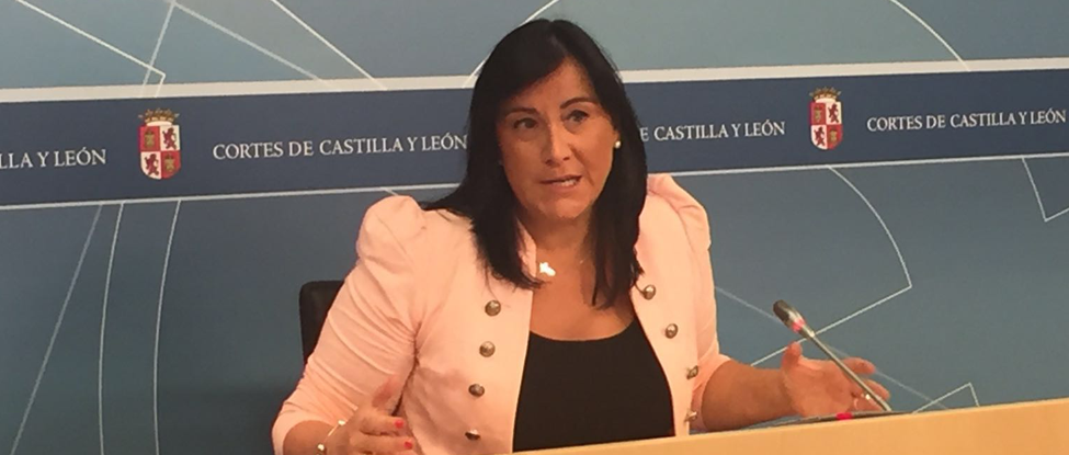 <strong>Ana S&aacute;nchez pide una &ldquo;remodelaci&oacute;n profunda&rdquo; del Gobierno de Herrera, que est&aacute; en un &ldquo;final ag&oacute;nico&rdquo;</strong>