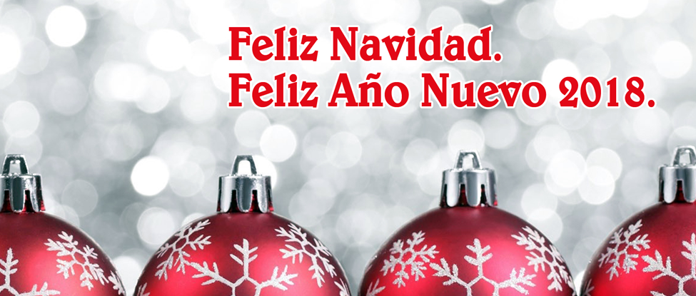 <p><strong>El&nbsp;PSOE de Zamora les desea Feliz Navidad</strong></p>
