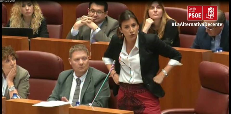 <strong>Ana S&aacute;nchez al Consejero de Empleo de la Junta: &ldquo;&iquest;D&oacute;nde est&aacute;n estos 100 millones de euros ofrecidos en Zamora por Rajoy contra la despoblaci&oacute;n?&rdquo;</strong>