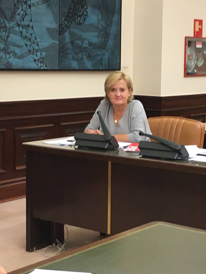 <strong>El Congreso respalda la propuesta del PSOE para la urgente reparaci&oacute;n del firme de la Autov&iacute;a A-66 entre Benavente y Le&oacute;n, defendida por Rominguera</strong>