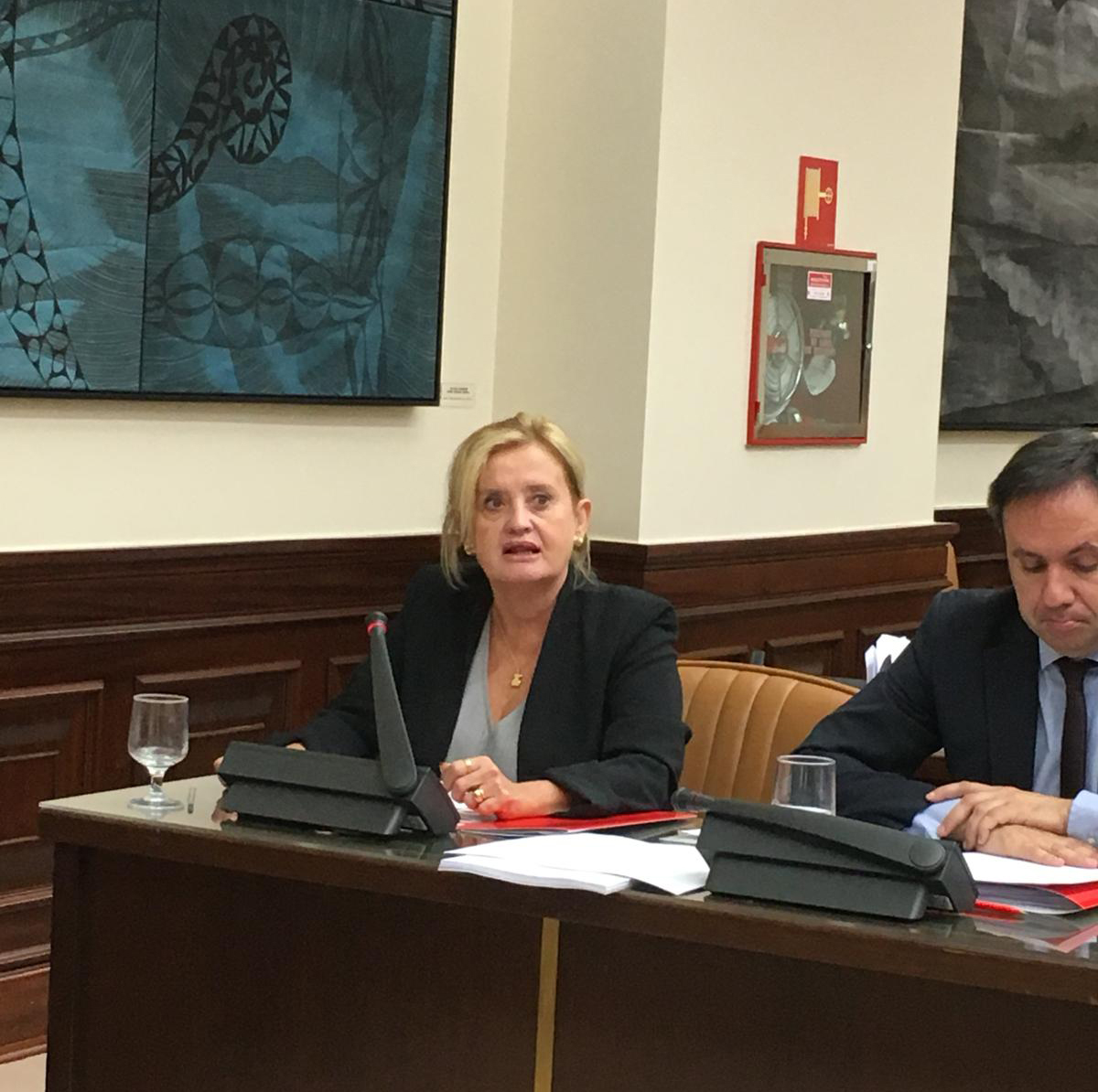 <div><strong>El Ministerio de Fomento trabaja ya en la redacci&oacute;n de los proyectos de los cuatro tramos de la A-11 en la provincia de Zamora</strong></div>