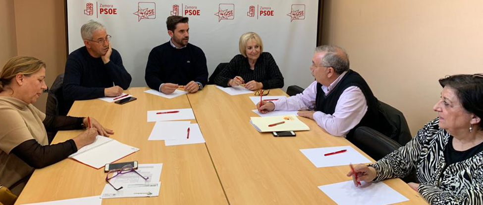 <strong>El PSOE de Zamora apoya la Manifestaci&oacute;n en defensa de la sanidad p&uacute;blica del 26 de Enero en Valladolid</strong>