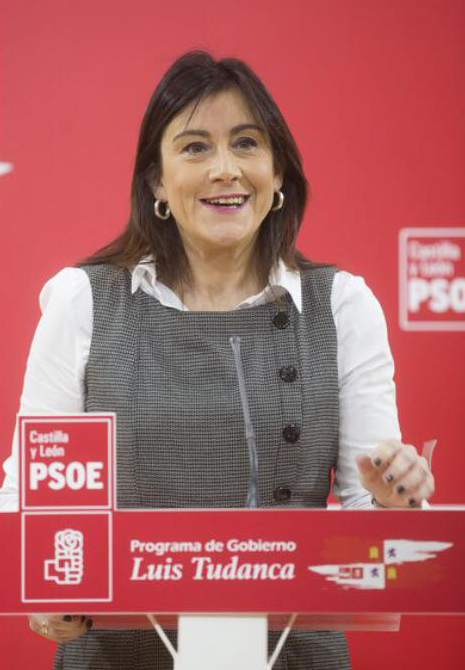 <strong>Ana S&aacute;nchez: &ldquo;Nos vamos la dejar a piel para sacar adelante el Plan de Dinamizaci&oacute;n Econ&oacute;mica para la provincia de Zamora&rdquo;</strong>
