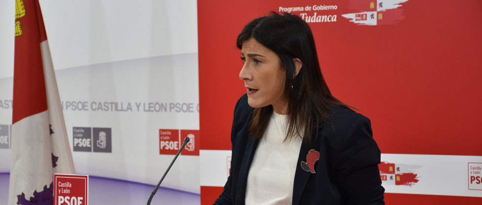 <strong>Ana S&aacute;nchez exige a Ma&ntilde;ueco que pida perd&oacute;n porque la &ldquo;traici&oacute;n&rdquo; del PPCyL es &ldquo;su corrupci&oacute;n&rdquo;</strong>