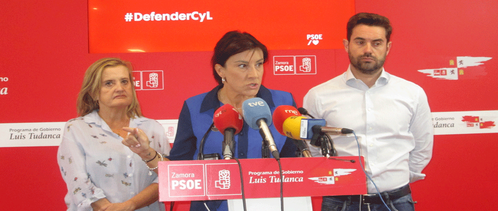 <strong>El PSOECyL presenta las &ldquo;exigencias previas&rdquo; para afrontar la negociaci&oacute;n del Pacto por la Sanidad</strong>