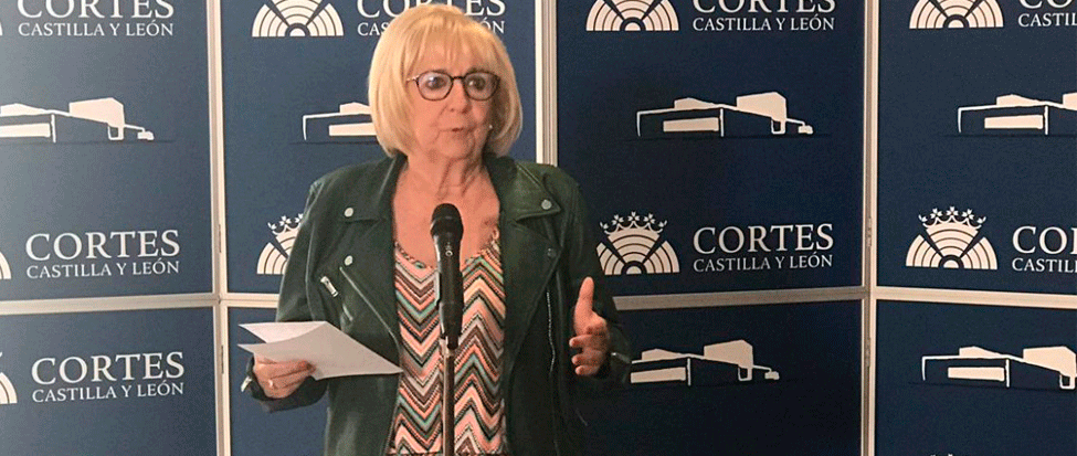 <strong>Garc&iacute;a Rioja: &ldquo;Las medidas de confinamiento del Gobierno est&aacute;n funcionando, tambi&eacute;n en Zamora"</strong>