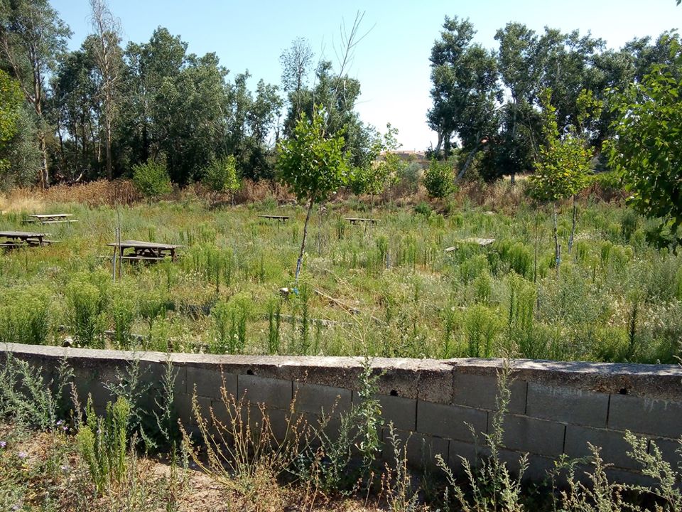 <strong>El PSOE de Entrala denuncia el estado de abandono del Municipio por parte del Ayuntamiento</strong>