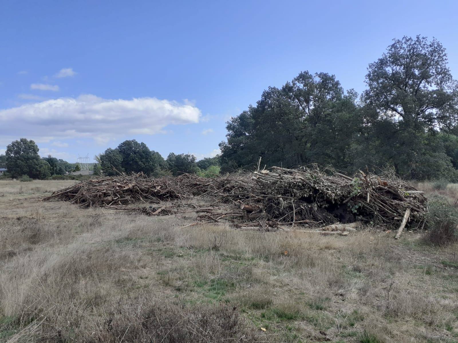 <div><strong>El PSOE de Galende denuncia que se use como vertedero el paraje &ldquo;Vega de Ilanes&rdquo;&nbsp;</strong></div>