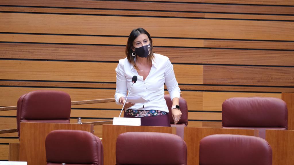 <strong>Ana S&aacute;nchez: &ldquo;El modelo residencial de la Junta prima los intereses econ&oacute;micos&rdquo;</strong>