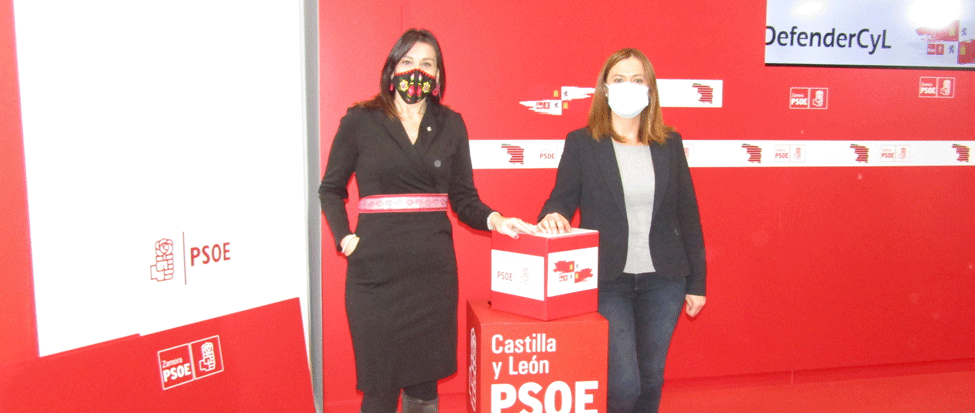 <strong>El PSOECyL denuncia que la ausencia de presupuestos y de &ldquo;estrategia&rdquo; de la Junta en materia de despoblaci&oacute;n</strong>