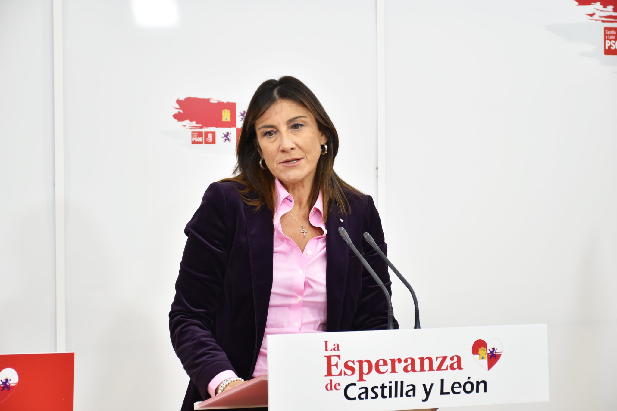 <div><strong>Ana S&aacute;nchez: &ldquo;El proyecto de Montelarreina ser&aacute; financiado &iacute;ntegramente por el Ministerio de Defensa&rdquo;&nbsp;</strong></div>
