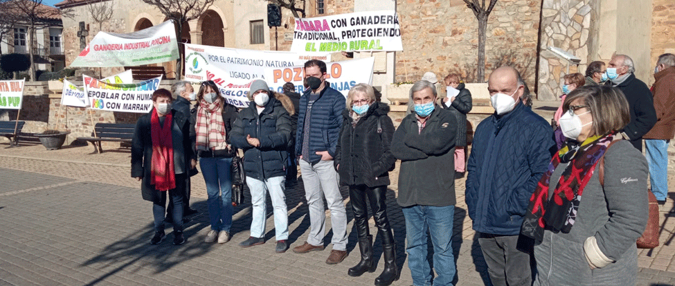 <strong>El PSOE de Zamora est&aacute; en contra de las macrogranjas y apuesta por la ganader&iacute;a sostenible</strong>