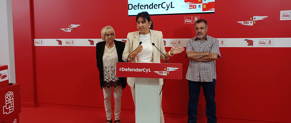 <div><strong>&ldquo;Si a Feij&oacute;o no le gusta la subida de las pensiones a los socialistas nos parece de justicia&rdquo;</strong></div>