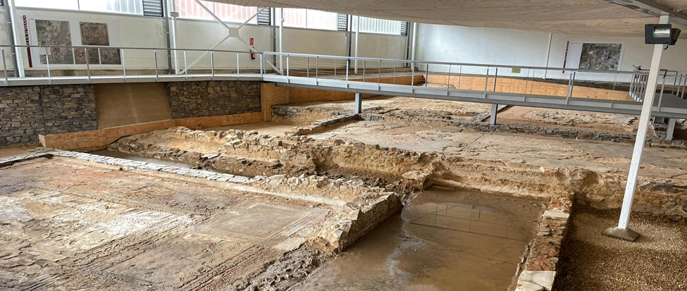 <div><strong>El PSOE denuncia inundaciones en la Villa Romana de Camarzana de Tera</strong></div>