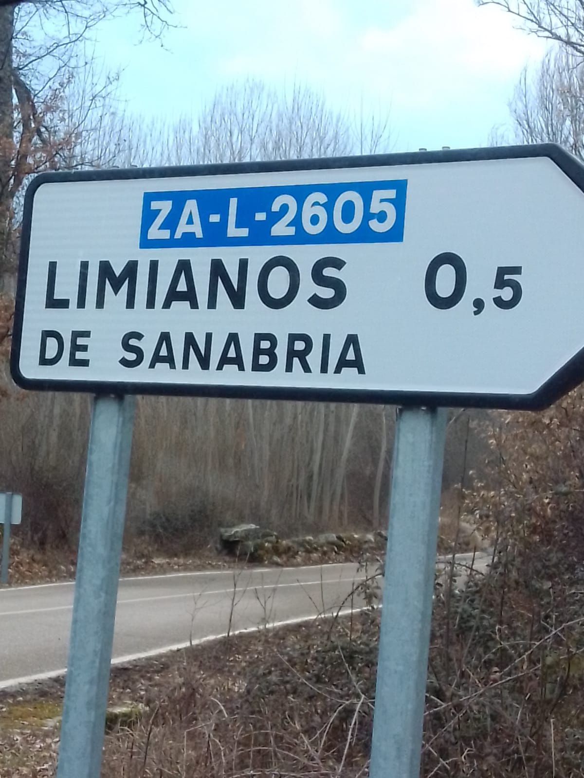 <div><strong>El PSOE reclama la pavimentación y señalización del tramo 500 m. de carretera a Limianos de Sanabria</strong></div>