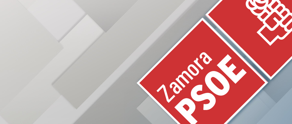 <div><strong>El Grupo Municipal del PSOE vuelve a solicitar a Izquierda Unida la instalación de aparcabicicletas en los distintos aparcamientos de la ciudad</strong></div>
